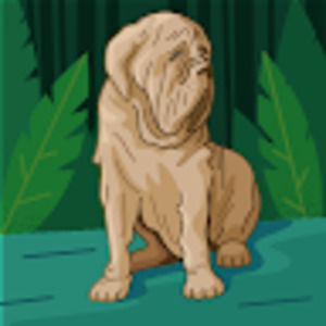 Meet your Posher, Gage